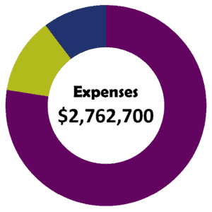 Expenses Chart