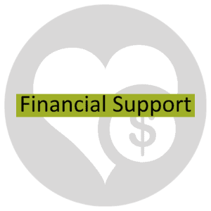 financial support icon 